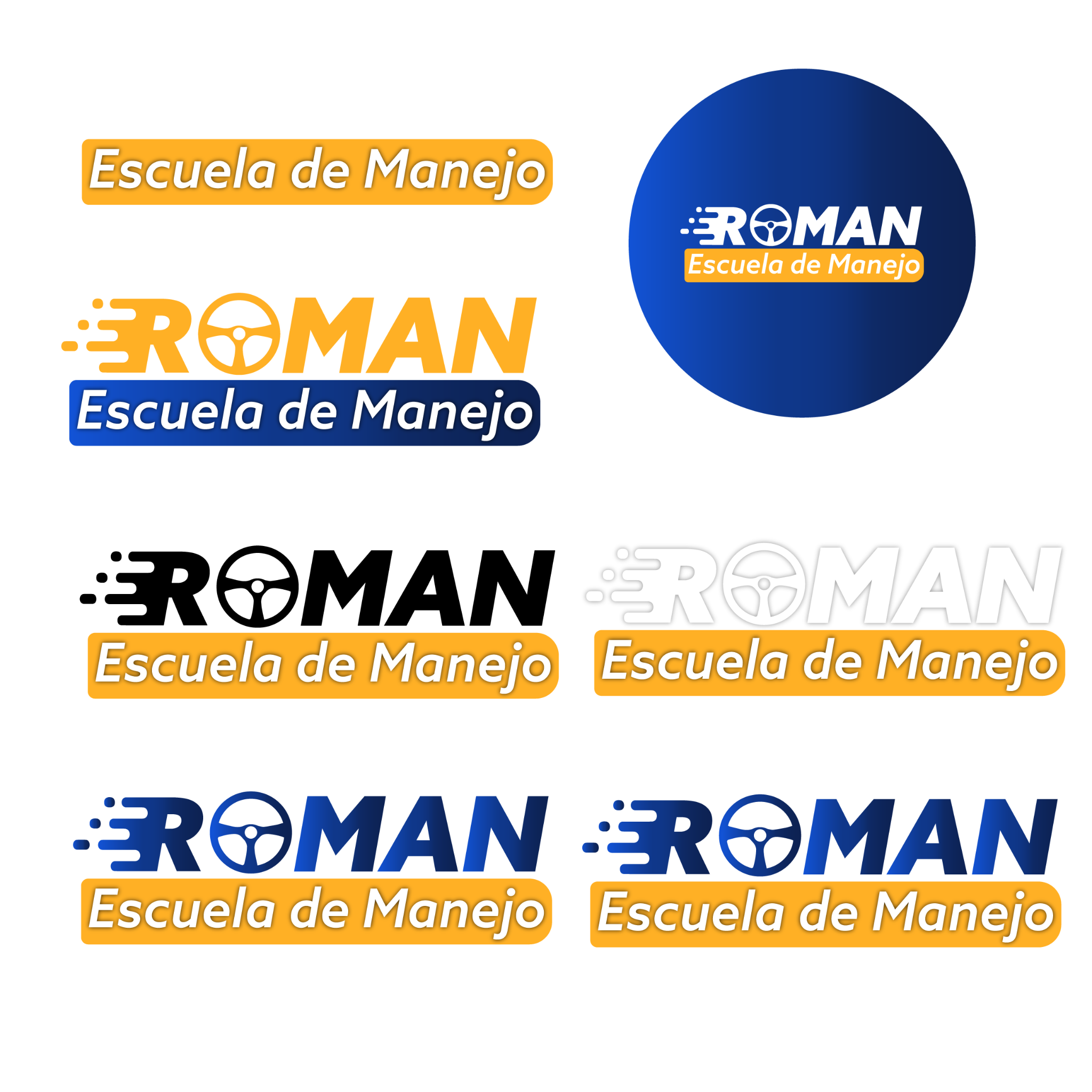 ROMAN Escuela de Manejo